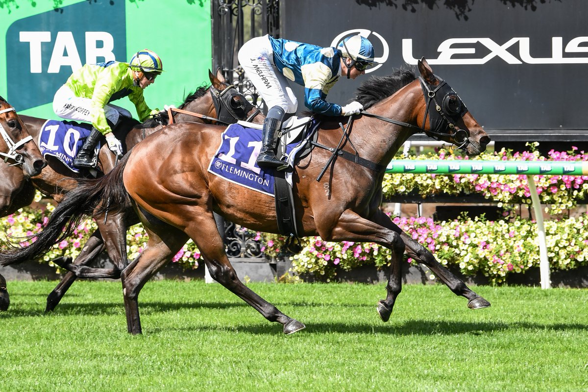 Darley in Australia tweet media