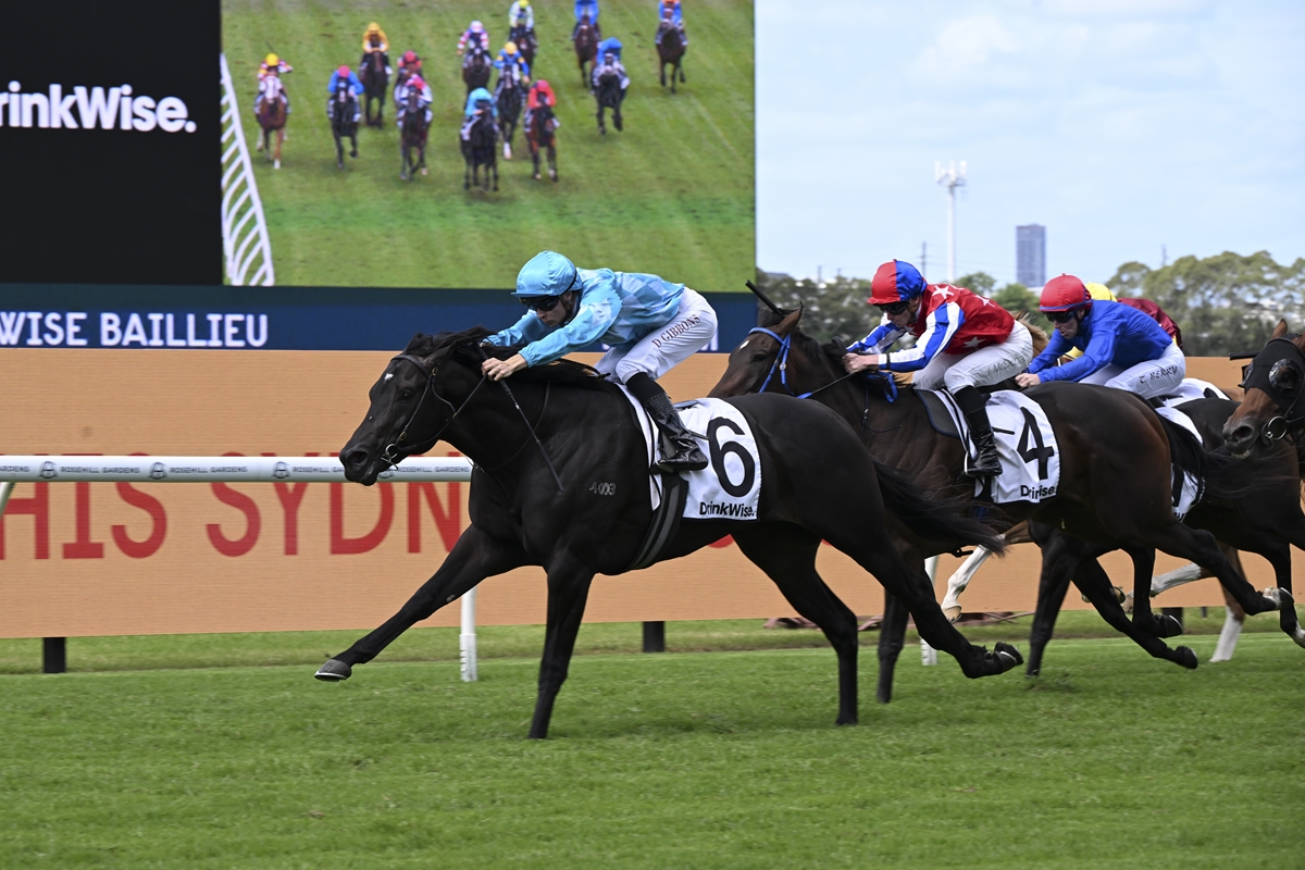Darley in Australia tweet media