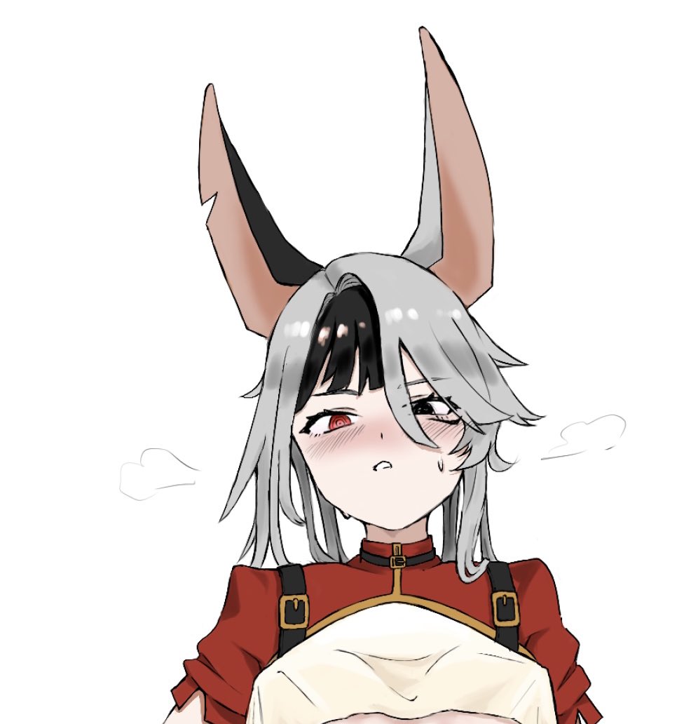 ワムさん tweet media