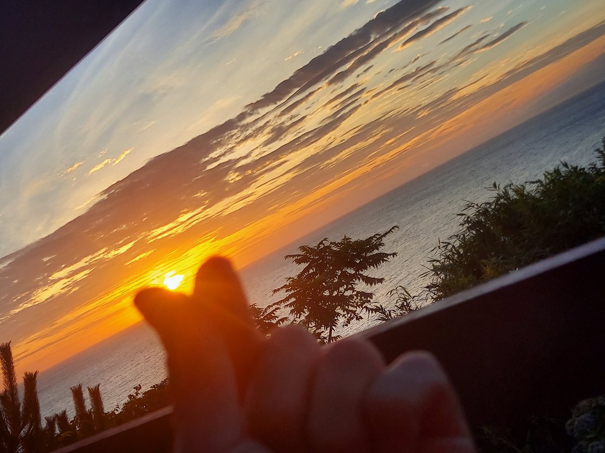 ( ᵕ ᵕ ) tweet media