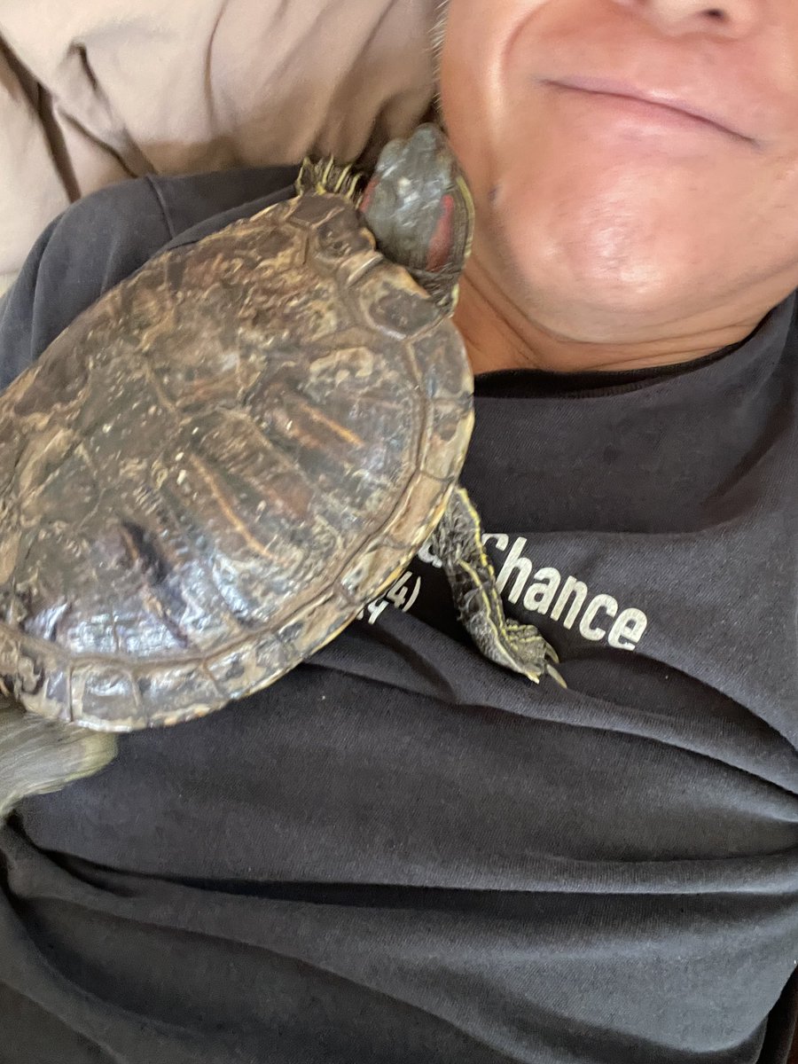 武内享 tweet media