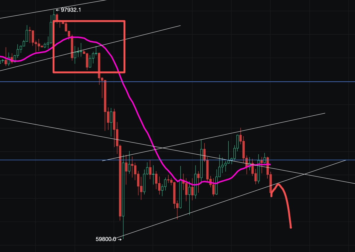 逍遥XTony tweet media