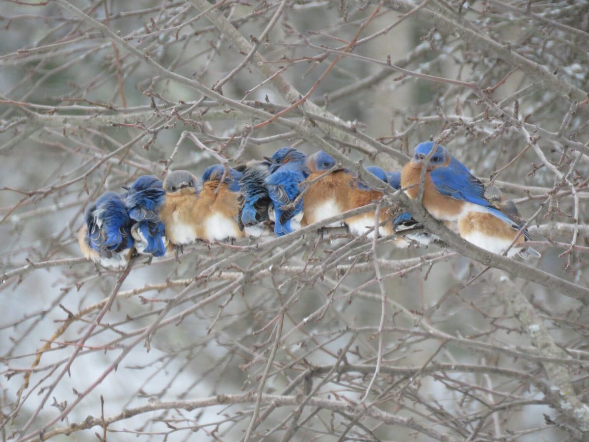 크레이지코리안락쟁이☔️ tweet media