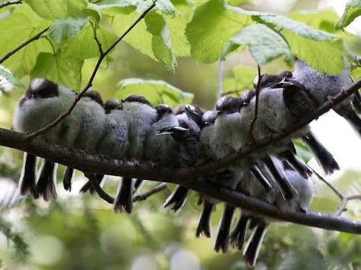크레이지코리안락쟁이☔️ tweet media