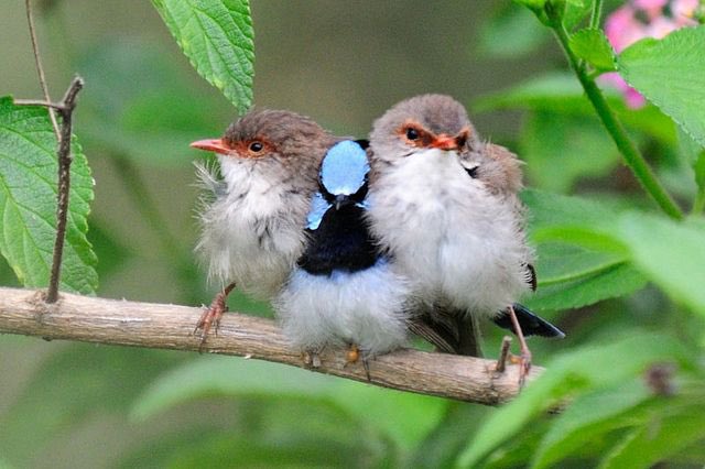크레이지코리안락쟁이☔️ tweet media