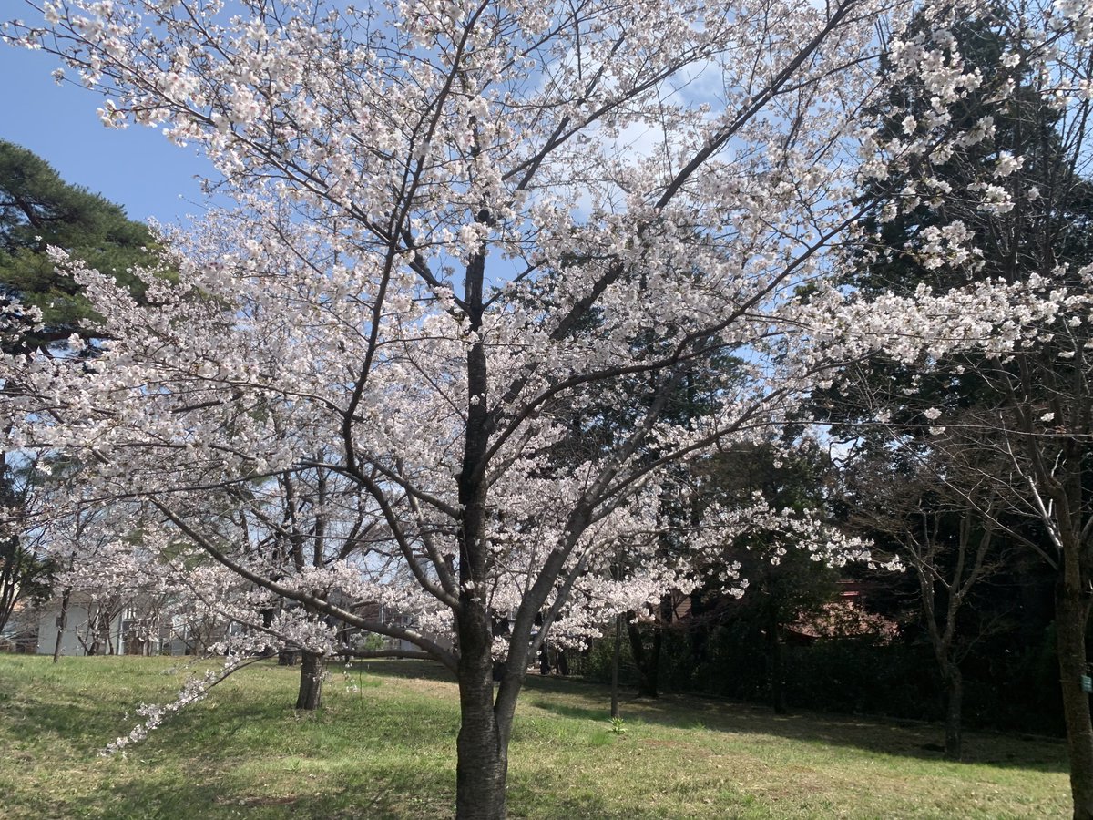 羽香-uka-🦋 tweet media