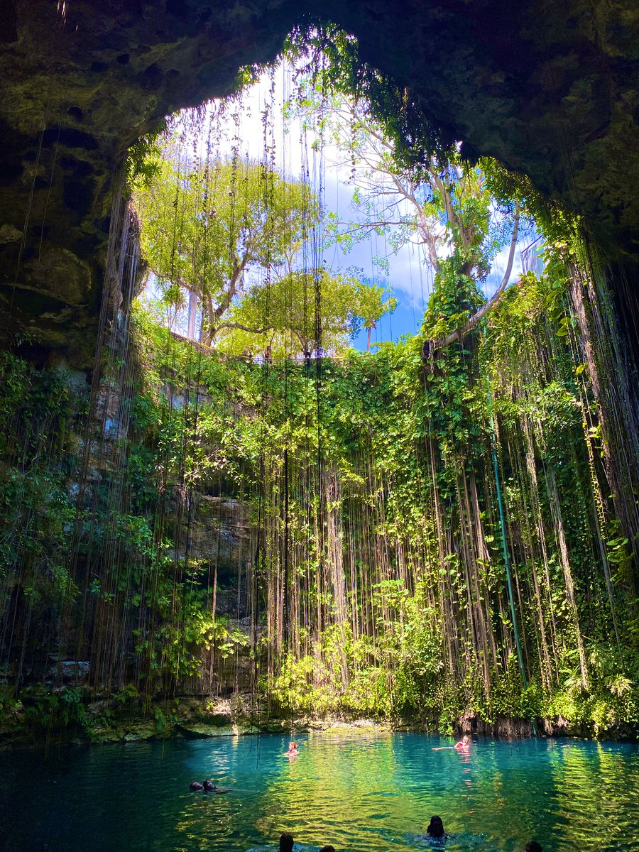 どくとるもなど tweet media