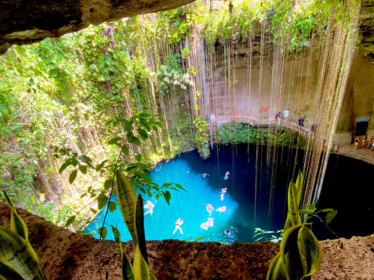 どくとるもなど tweet media