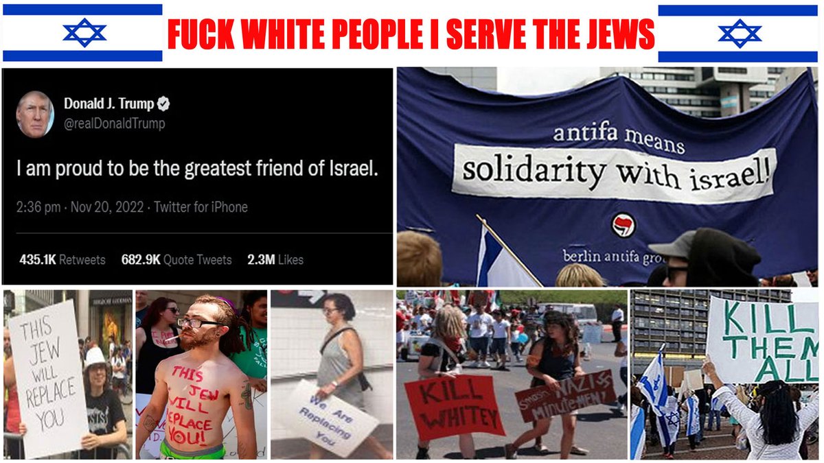 T0000009 tweet media