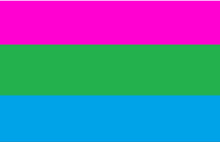 BeardedLady19's tweet photo. Art of the Day! "Poly-Sexual Pride Flag". Buy at: https://t.co/L5lhTaKwpe https://t.co/F8LUtq3vZx