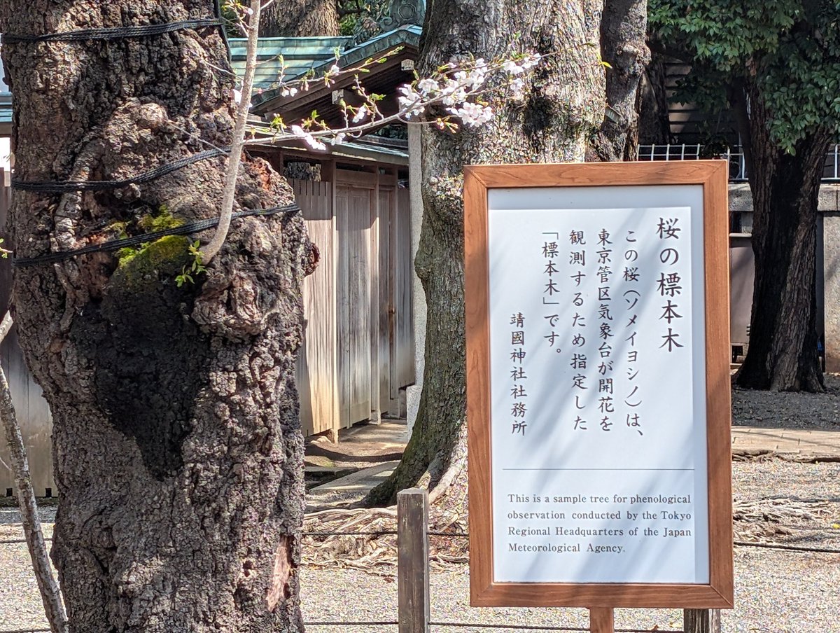 街歩き８千歩 tweet media