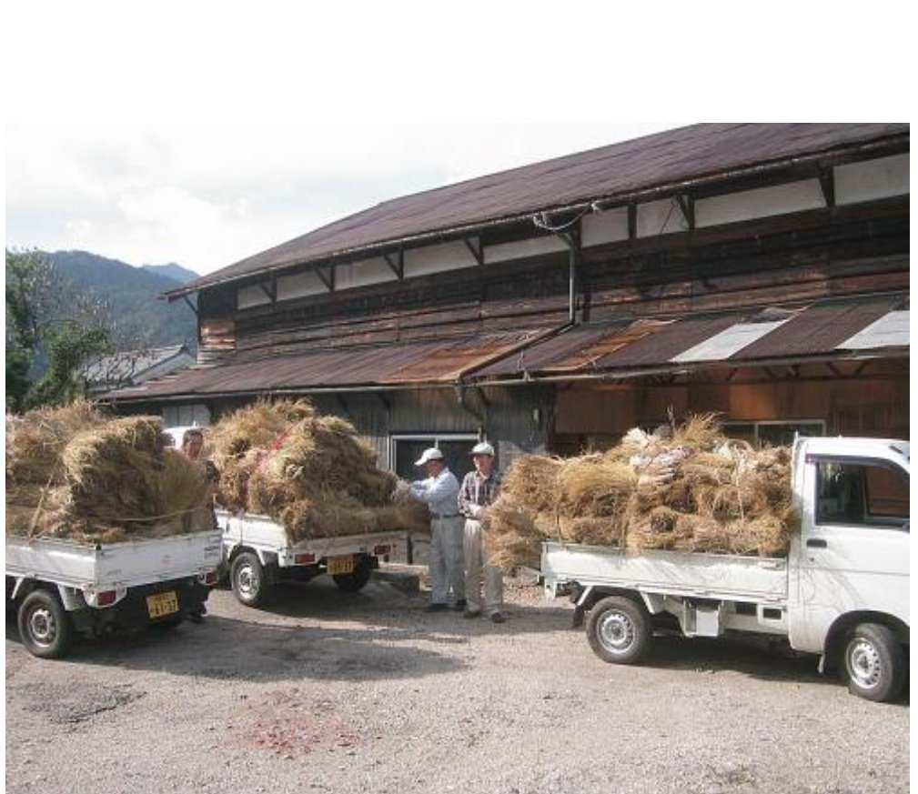 anちゃん★多肉初心者 tweet media