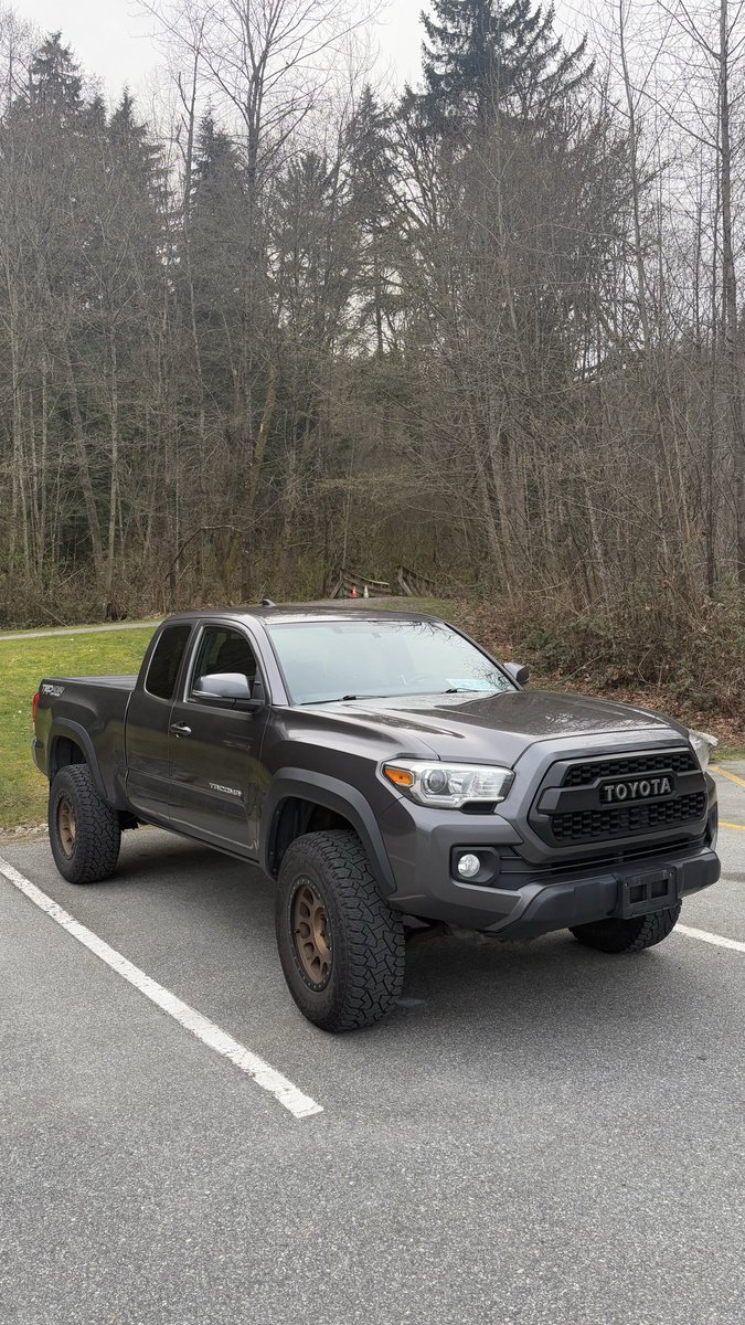 Mining Catalyst tweet media