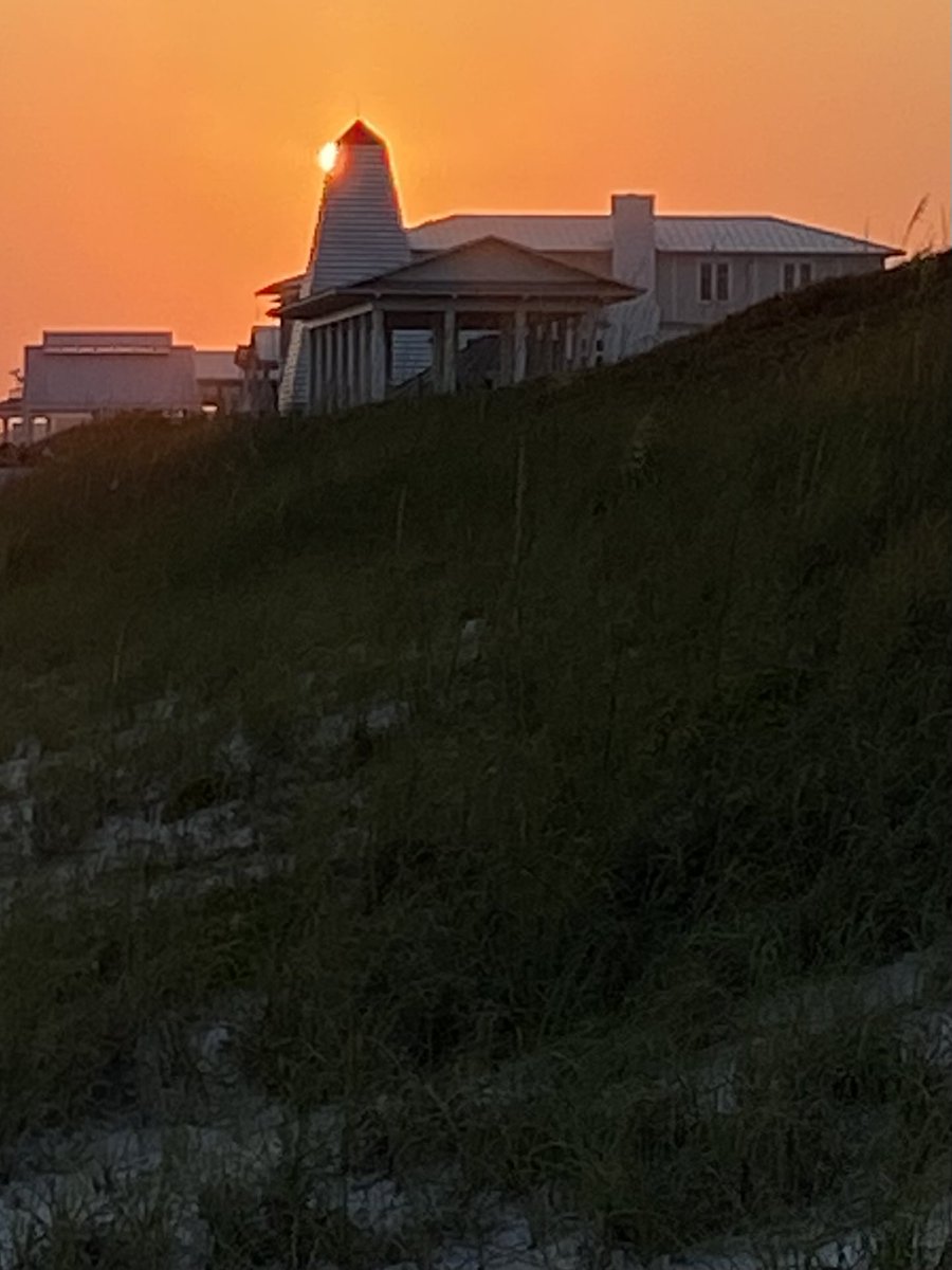 DoberFanPinschr's tweet image. #seaside