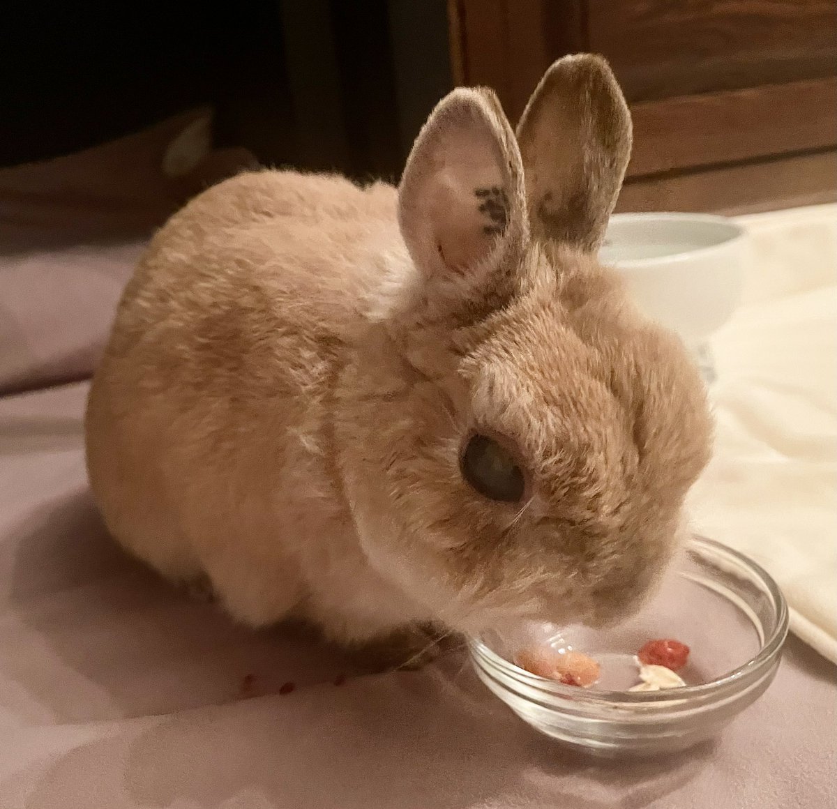 あおいゆき tweet media