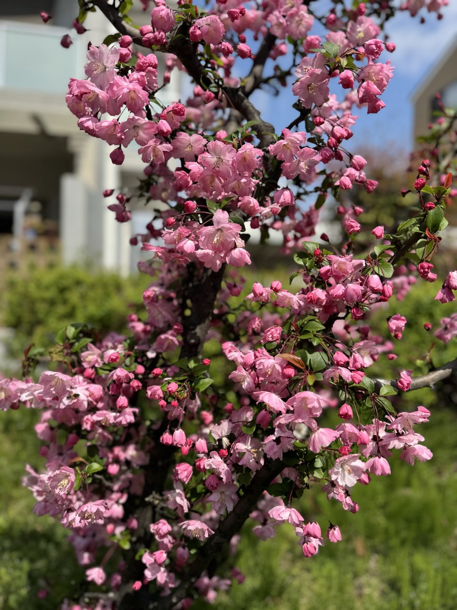 🩵sawachun64🍒🪐💫 tweet media