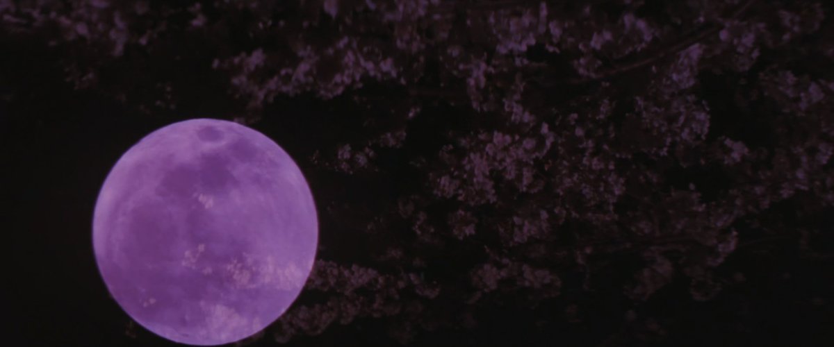 Nēa "Dracula" Ching tweet media