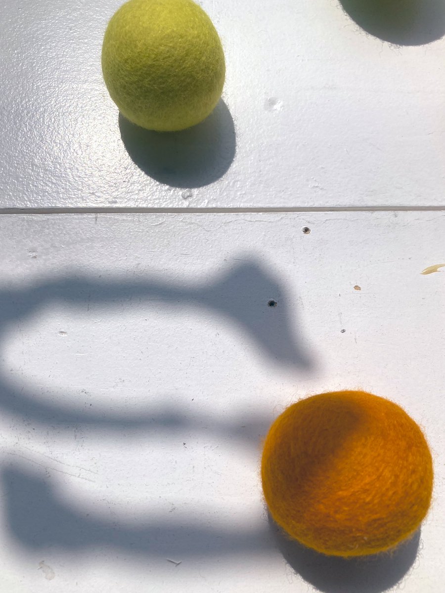 gallery  shell102 tweet media