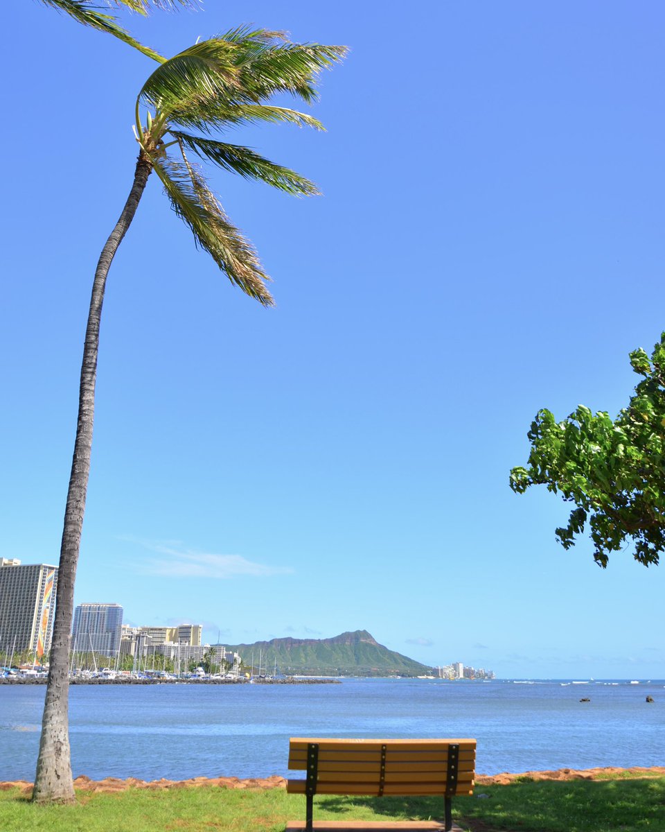 aloha7inc's tweet photo. ☻ 𝔸𝕃𝕆ℍ𝔸 ☻ ︎
#マジックアイランド の絶景ベンチで
𝙃𝙖𝙥𝙥𝙮 𝘼𝙇𝙊𝙃𝘼 𝙁𝙧𝙞𝙙𝙖𝙮
新しく寄付された絶景ベンチもありました
𝗠𝗮𝗵𝗮𝗹𝗼🤙

 #ハワイ #ハワイ好きな人と繋がりたい #ハワイ旅行 #今日のハワイ https://t.co/q4RJbmwuSJ