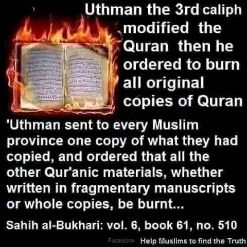 Droidzilla22 tweet media