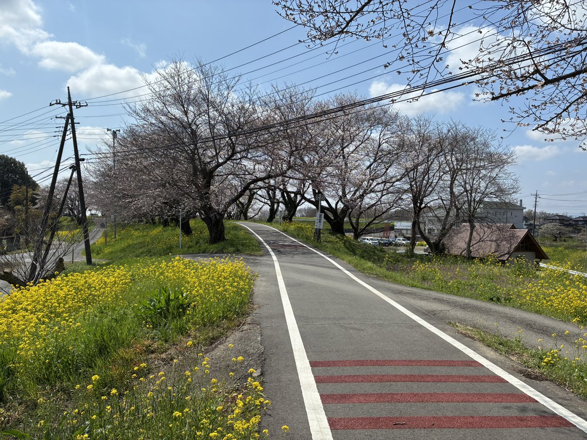 黒魔猫のしぐにぁ🐈‍⬛@現在7.0【Gungnir】 tweet media