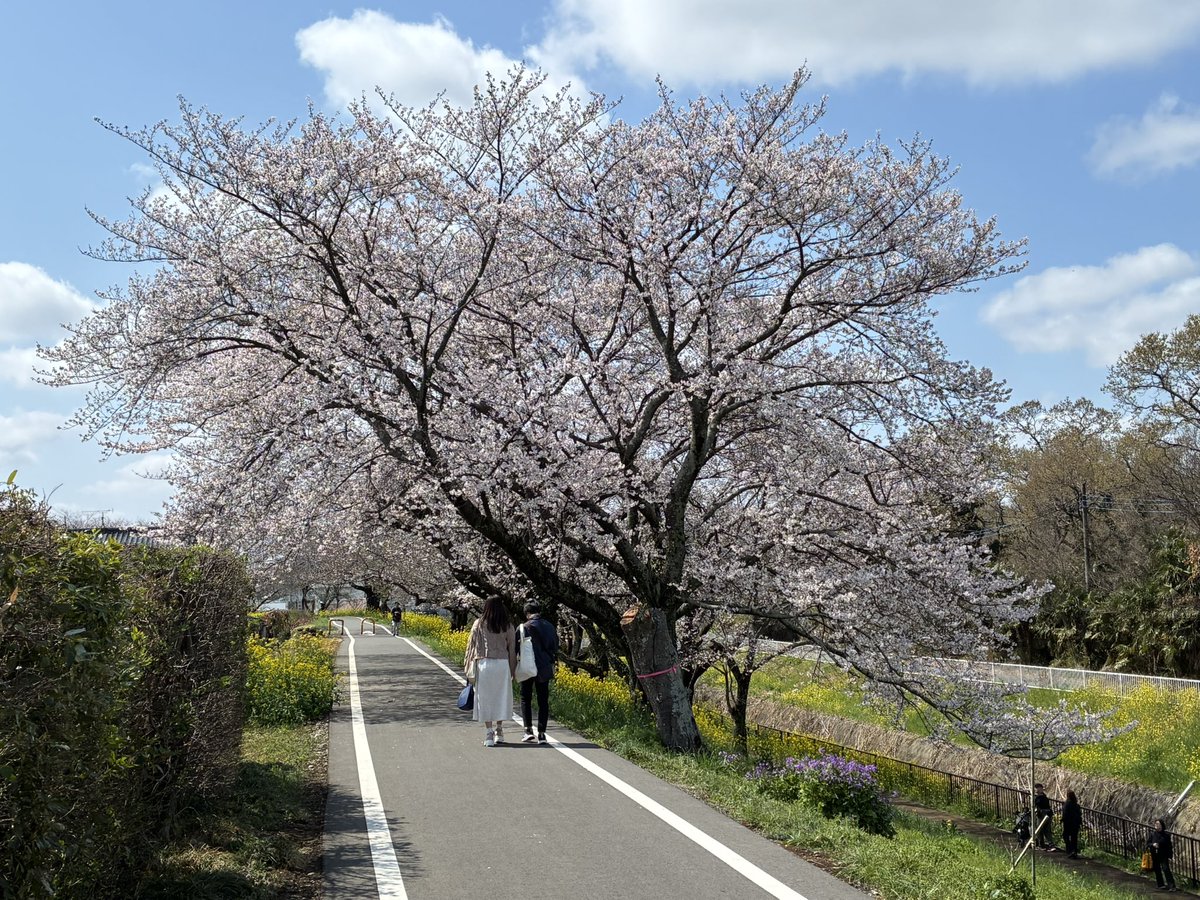 黒魔猫のしぐにぁ🐈‍⬛@現在7.0【Gungnir】 tweet media