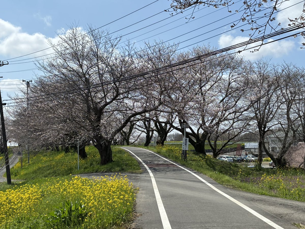 黒魔猫のしぐにぁ🐈‍⬛@現在7.0【Gungnir】 tweet media