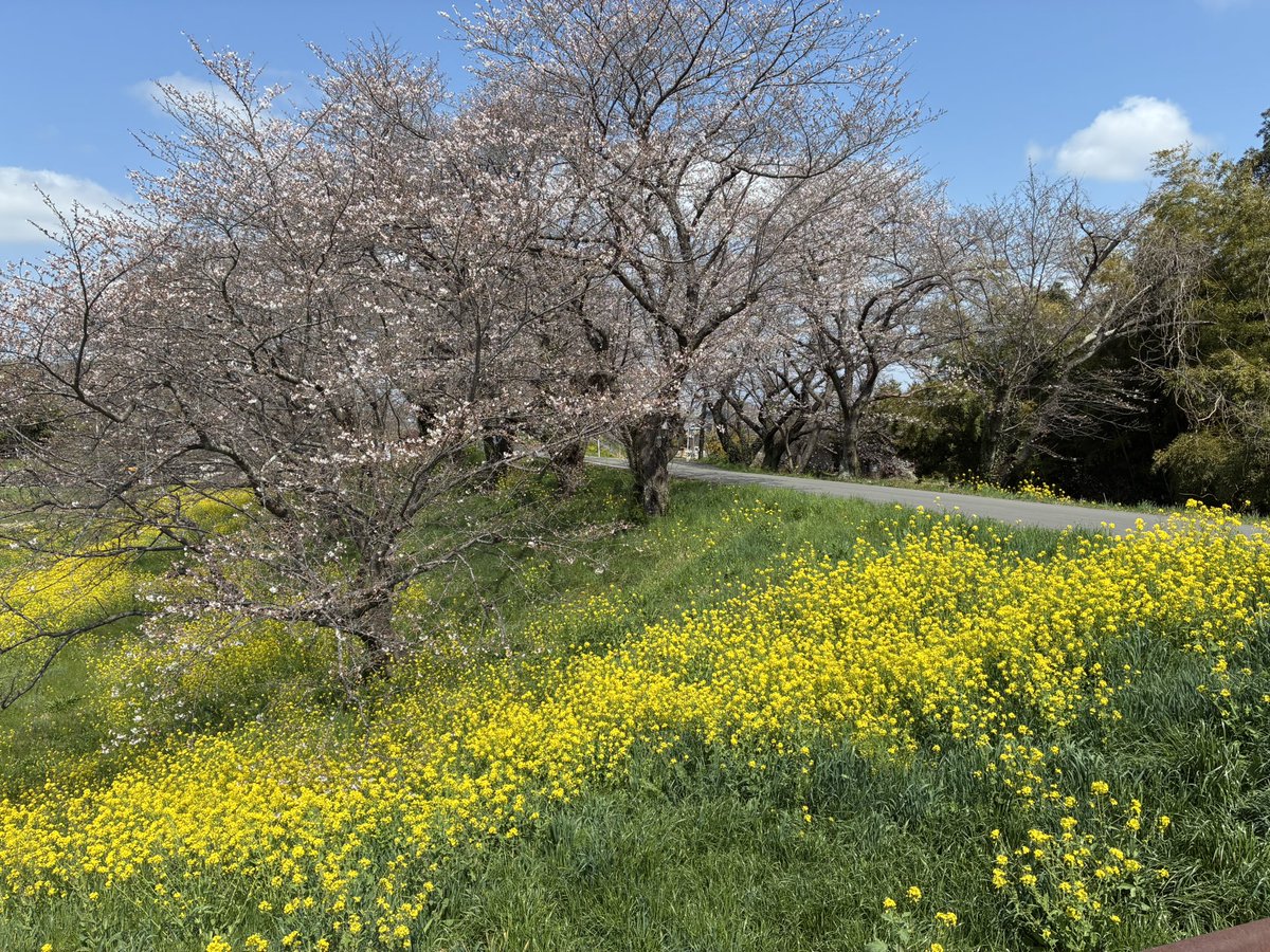 黒魔猫のしぐにぁ🐈‍⬛@現在7.0【Gungnir】 tweet media