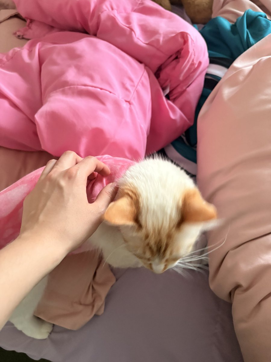 star 🫧 tweet media