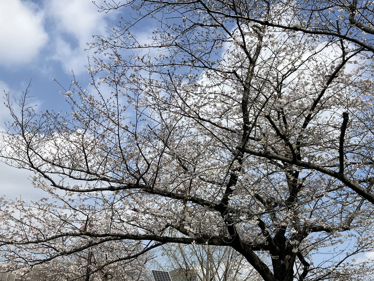 メイ ネバーエンディング tweet media