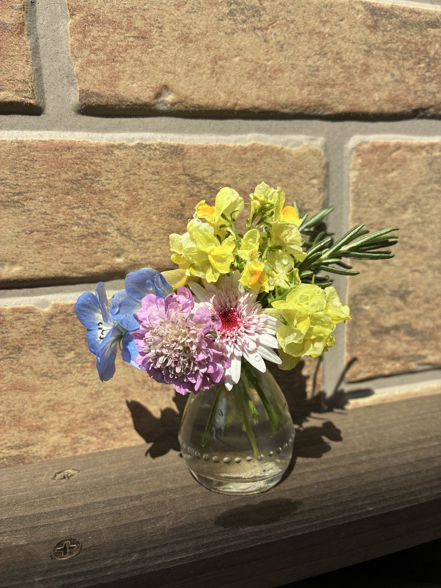 けら㌠ tweet media