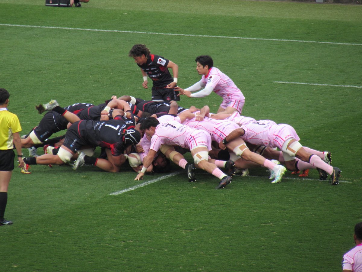 ドナルドん tweet media