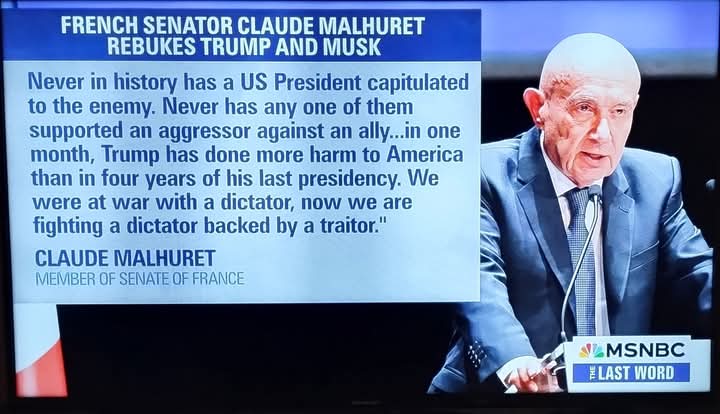 The Public (@thepublic_) on Twitter photo 