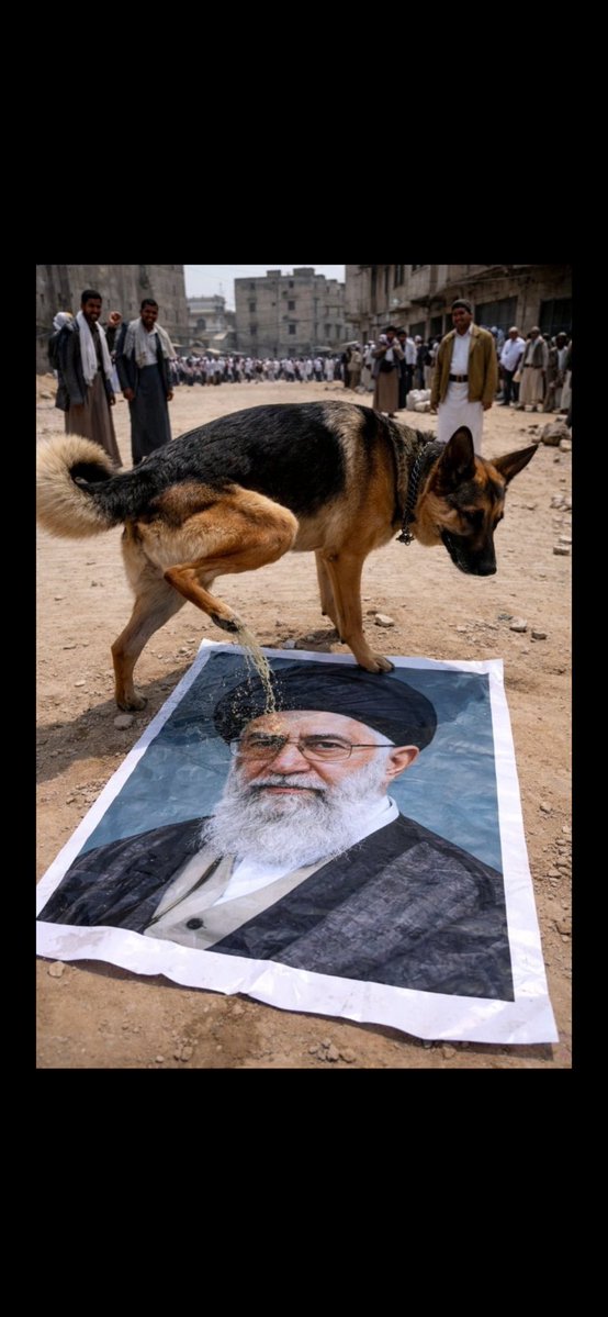 سعود الدغيم tweet media