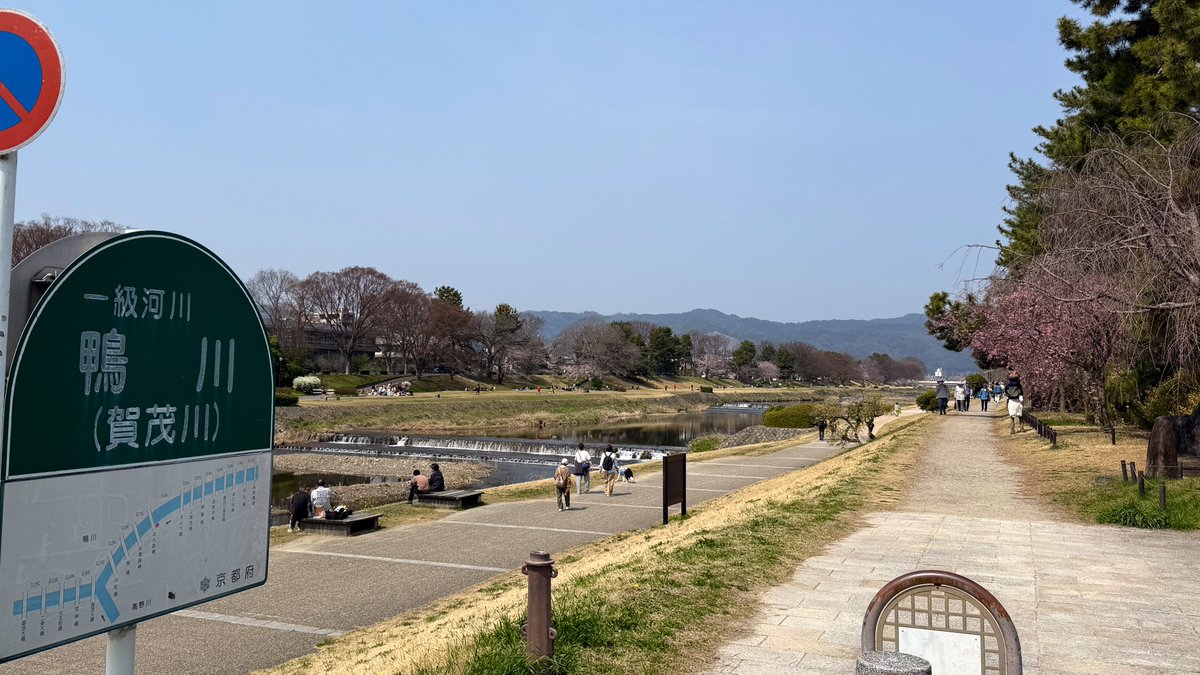 逃げドラ tweet media