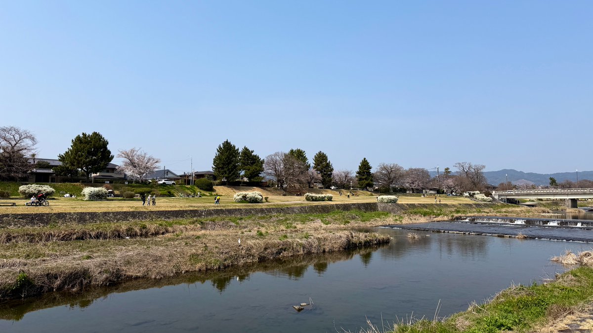 逃げドラ tweet media