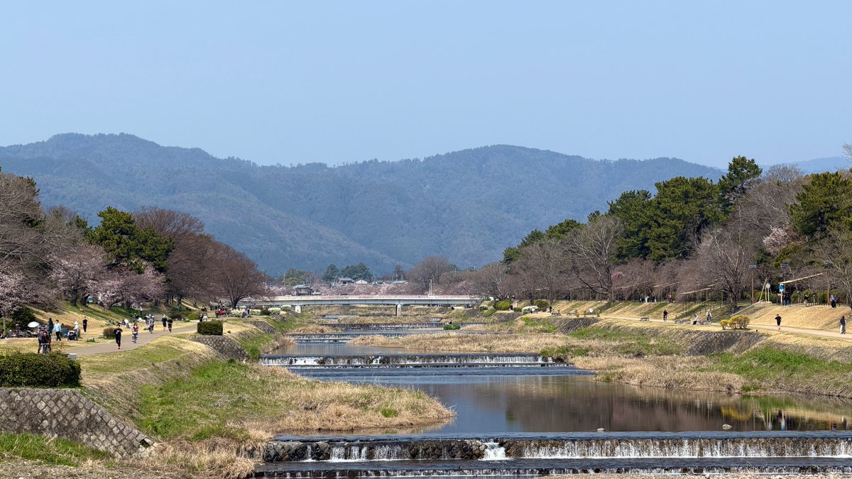 逃げドラ tweet media