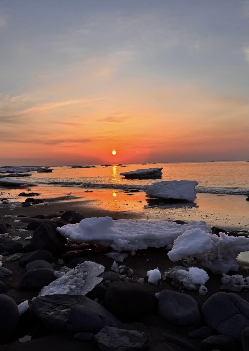 藤本 創子/知床SEKKA SHIRETOKO tweet media