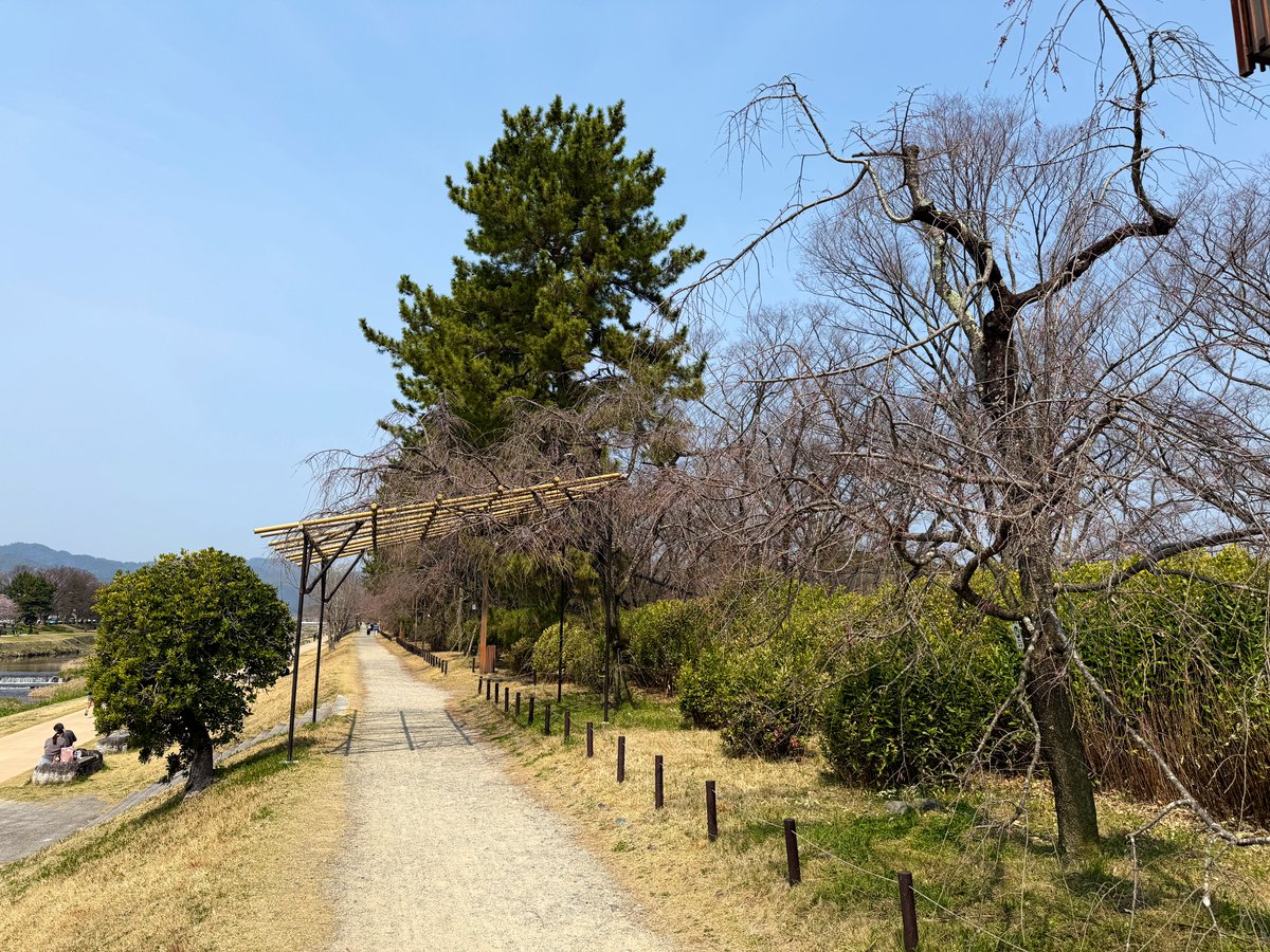 逃げドラ tweet media