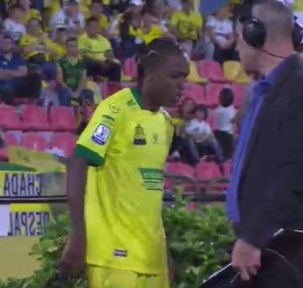 📷 Foto CARDENAL ® tweet media