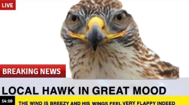 Davis Gregory tweet media