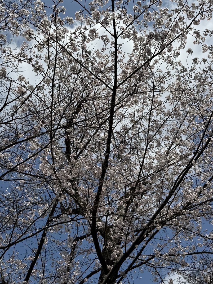 こじっさ tweet media