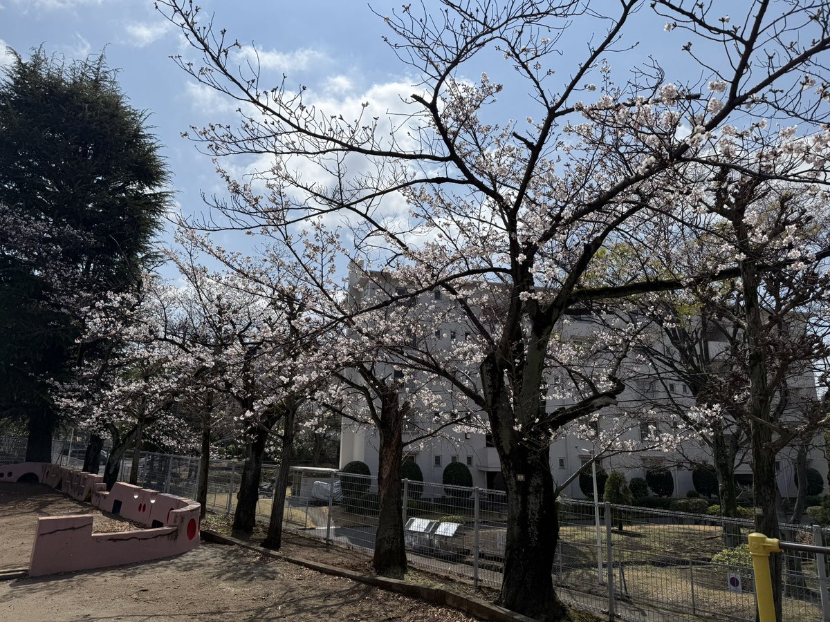 こじっさ tweet media