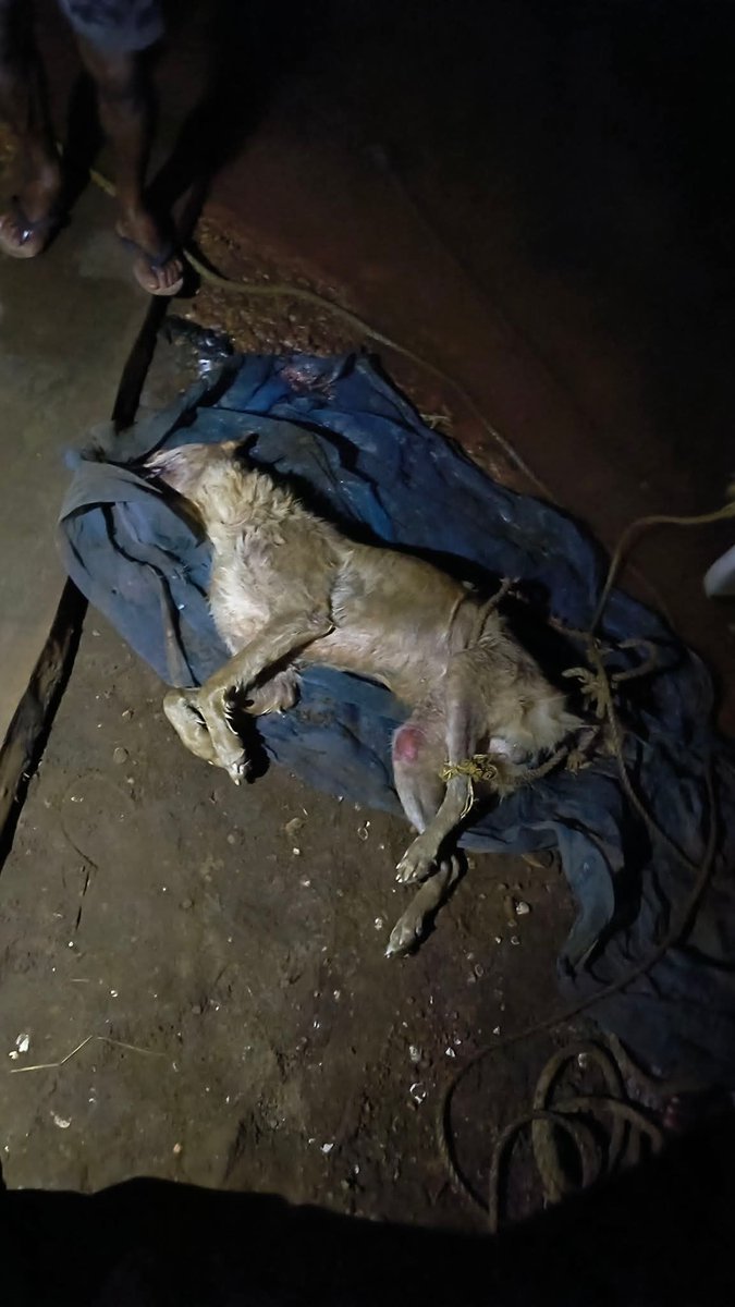 Unemployed_Goan. tweet media