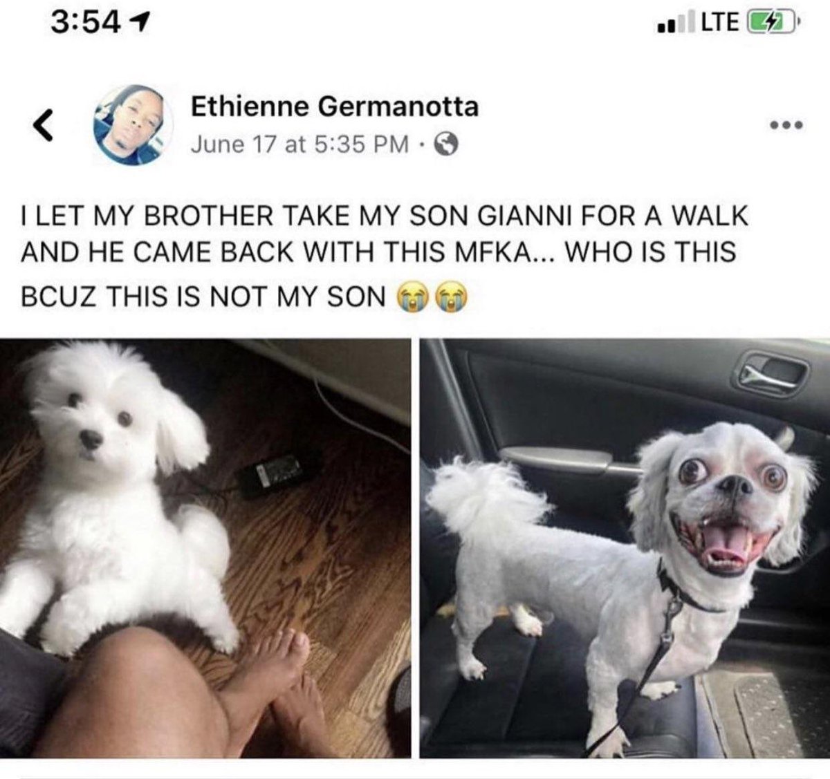 alien 🛸 tweet media