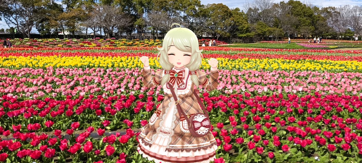 桐古堂 tweet media