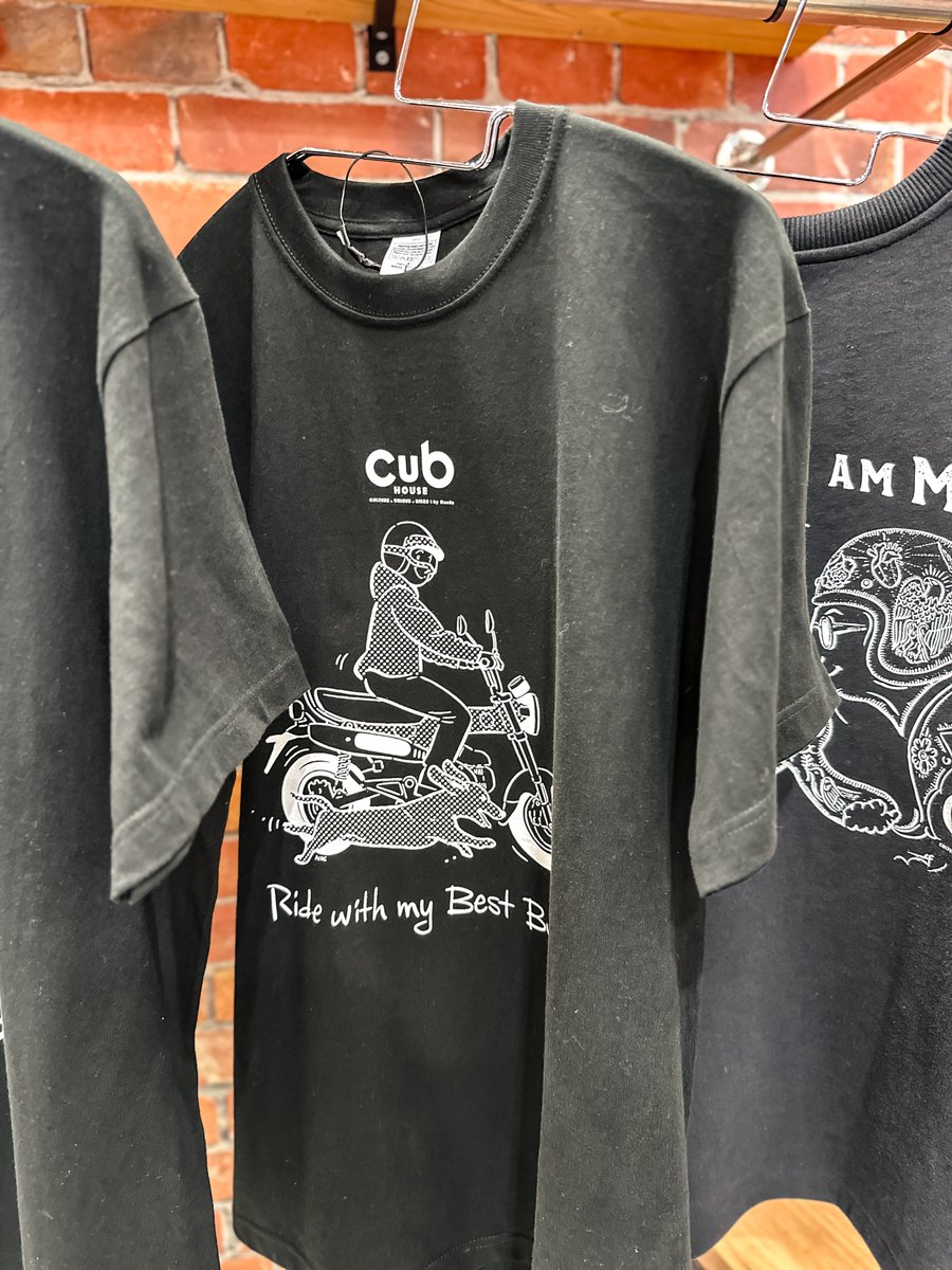 加藤ノブキ tweet media