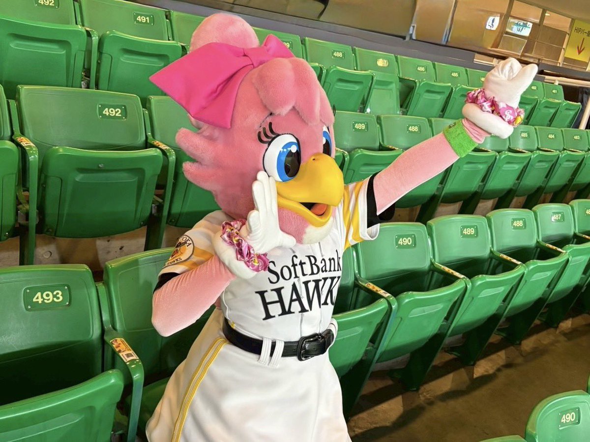 ハリーホーク(公式) tweet media