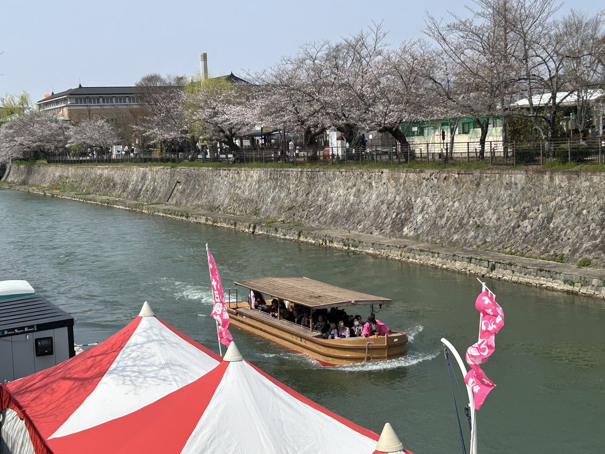 DaisukiParm's tweet photo. 10日くらい前にXで流れてきたポストを見かけたので速攻で予約。今年は桜が早いとは言うものの、満開が楽しめる週末は来週くらいかな？
#御船印#御船印マスター制#レジェンド船長への道#岡崎さくら回廊十石舟めぐり https://t.co/UgnCIsR5Ax