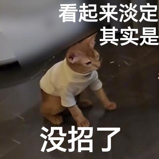 adi୨ৎ tweet media